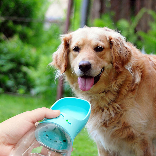Portable pet water bottle for dogs and cats