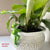 cute cartoon frog hanging pot resin decoration for plant pots garden and home decor