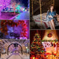 RGBIC Bluetooth fairy string lights with app remote control dream color LED lights for Christmas tree garden bedroom party decor