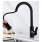 Black stainless steel pull out kitchen sink faucet with single handle design