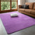Modern coral velvet non-slip carpet for living room bedroom and home decor
