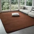 Modern coral velvet non-slip carpet for living room bedroom and home decor