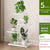 multi-tier iron plant stand flowerpot organizer for flowers succulents herbs balcony patio and garden decor
