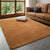 Modern coral velvet non-slip carpet for living room bedroom and home decor