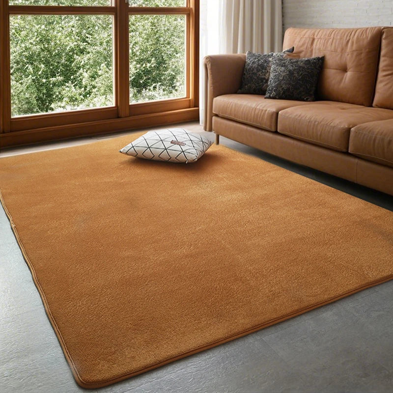 Modern coral velvet non-slip carpet for living room bedroom and home decor