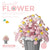 mini flower building block set with colorful potted plant designs micro self locking bricks DIY home desk decor toy gift