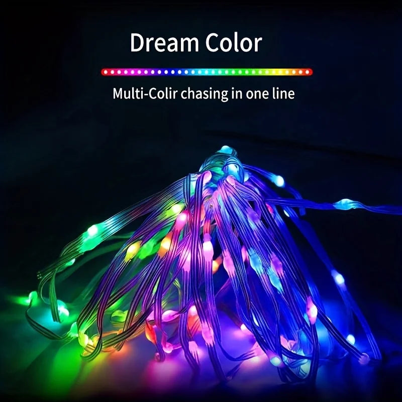RGBIC Bluetooth fairy string lights with app remote control dream color LED lights for Christmas tree garden bedroom party decor