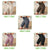 Women High Waist Push Up Gym Shorts for Yoga & Fitness