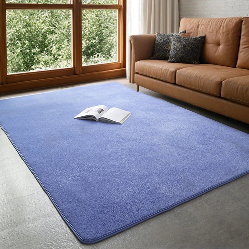Modern coral velvet non-slip carpet for living room bedroom and home decor