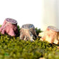 DIY fairy garden resin miniature accessories for dollhouse terrarium flower pot and home garden decor
