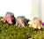 DIY fairy garden resin miniature accessories for dollhouse terrarium flower pot and home garden decor