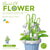 mini flower building block set with colorful potted plant designs micro self locking bricks DIY home desk decor toy gift