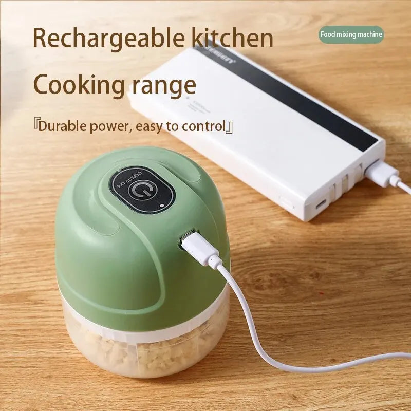 250ML USB rechargeable mini electric garlic chopper vegetable cutter for kitchen food preparation