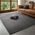 Modern coral velvet non-slip carpet for living room bedroom and home decor