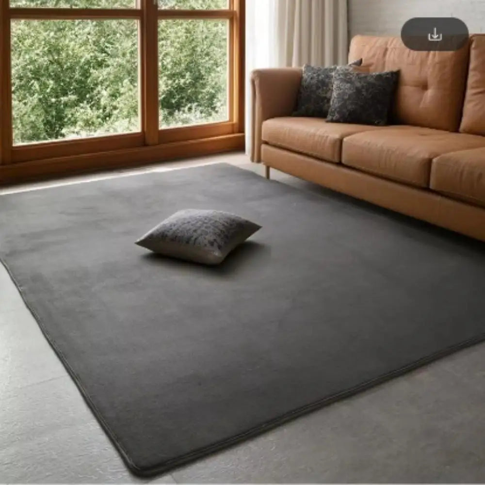 Modern coral velvet non-slip carpet for living room bedroom and home decor