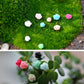 DIY Fairy Garden Miniature Accessories | Resin Garden Decor