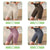 Women High Waist Push Up Gym Shorts for Yoga & Fitness