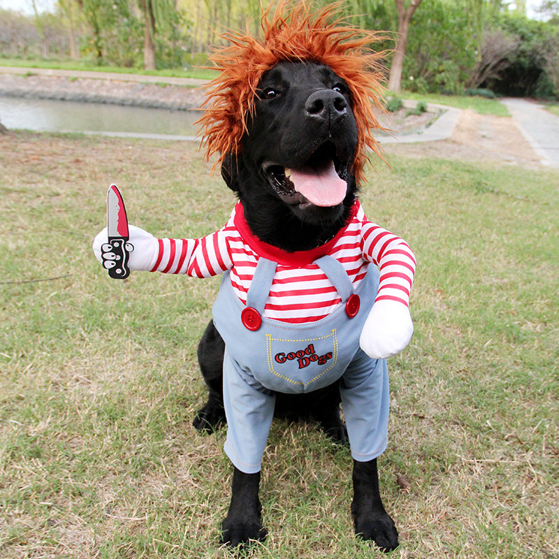 Small dog wearing adjustable Halloween pet costume