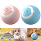 Smart cat rolling ball toy for indoor play