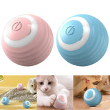 Smart cat rolling ball toy for indoor play