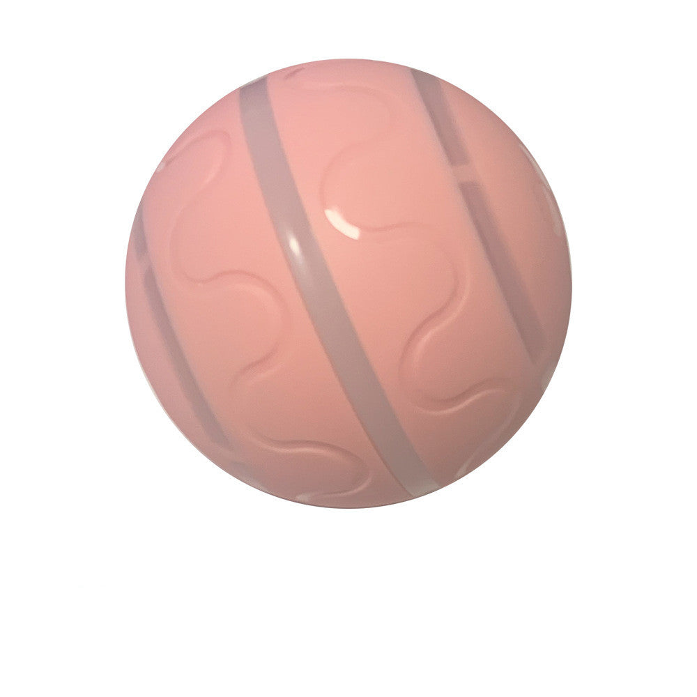 USB charging smart pet ball
