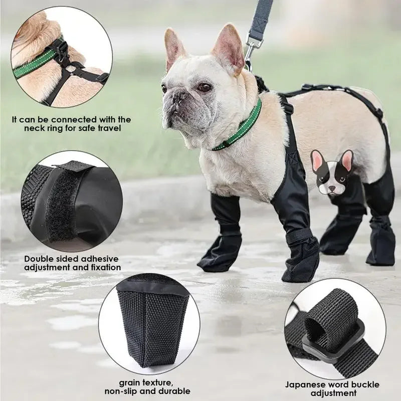 Waterproof dog shoes for outdoor walking