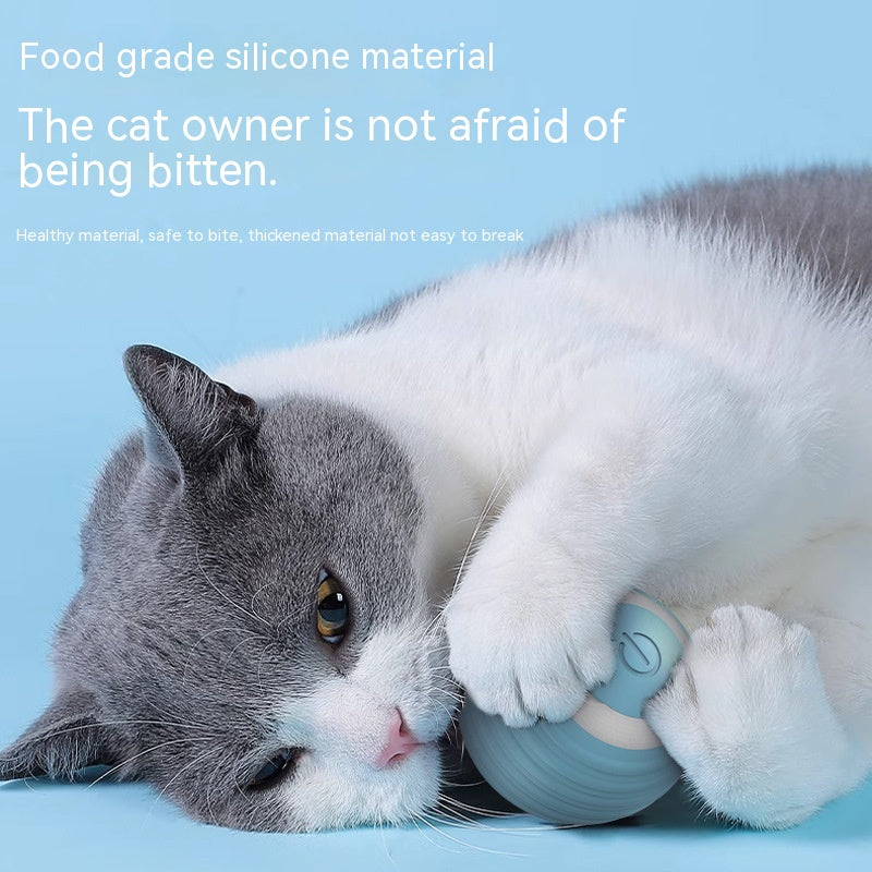 Smart cat rolling ball toy for indoor play