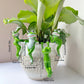 cute cartoon frog hanging pot resin decoration for plant pots garden and home decor