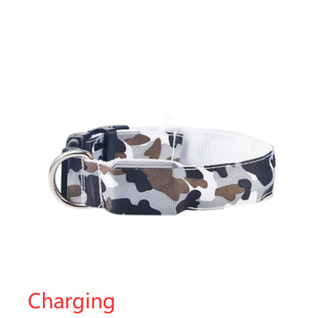 Camouflage LED pet collar with three light modes