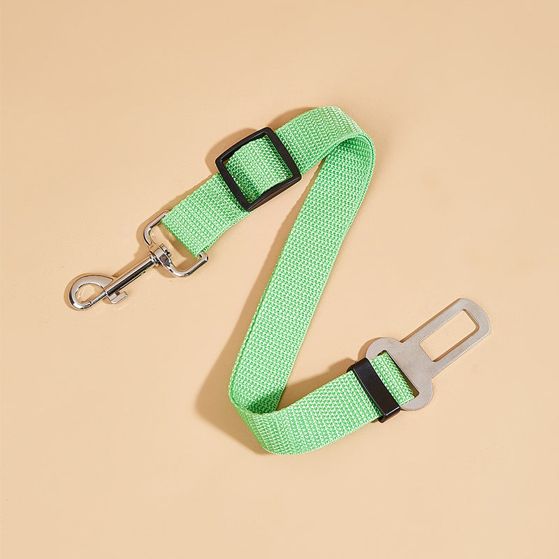 Dog safety leash for car travel
